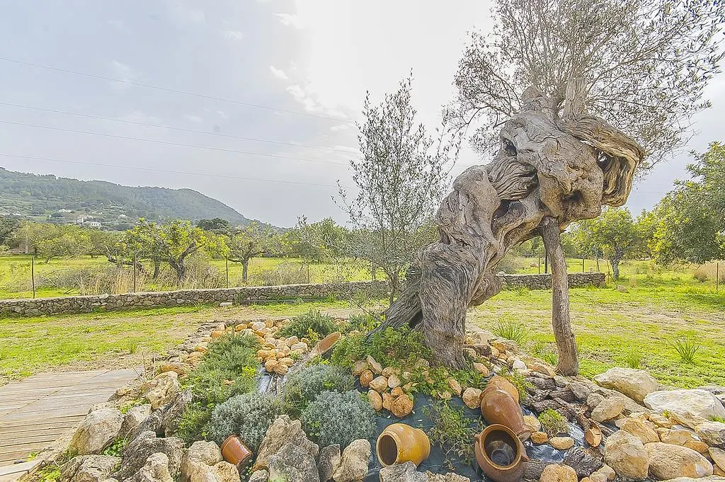 Finca Puig Santa Magdalena 0*, 印卡